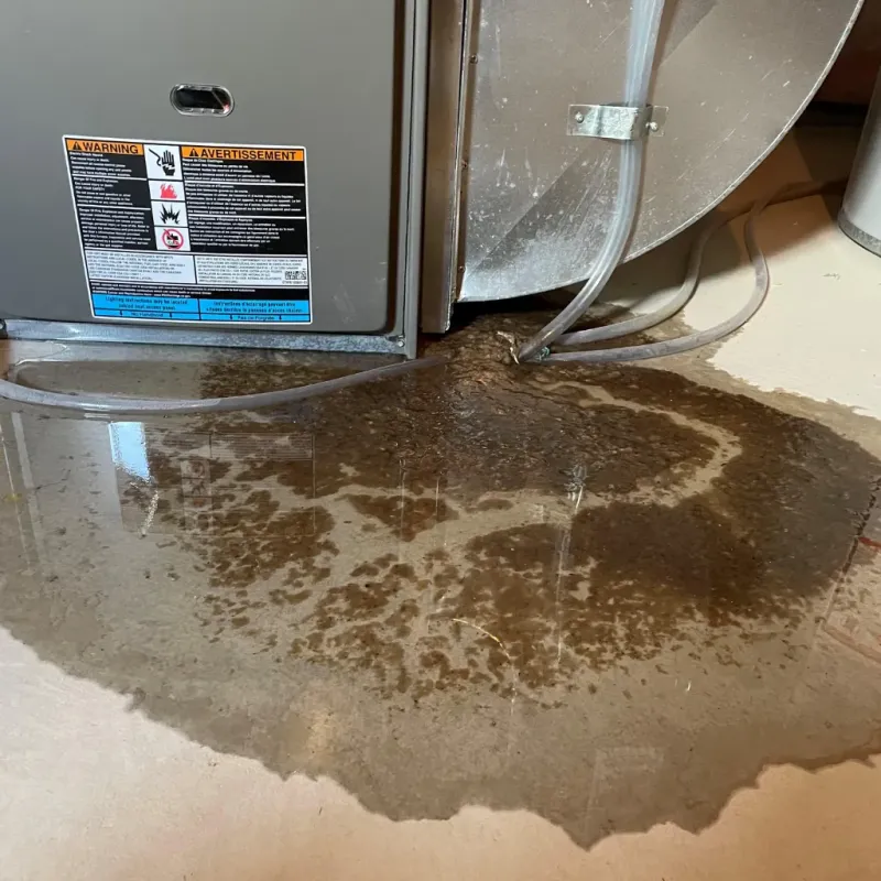 Appliance Leak Cleanup in Forest, OH