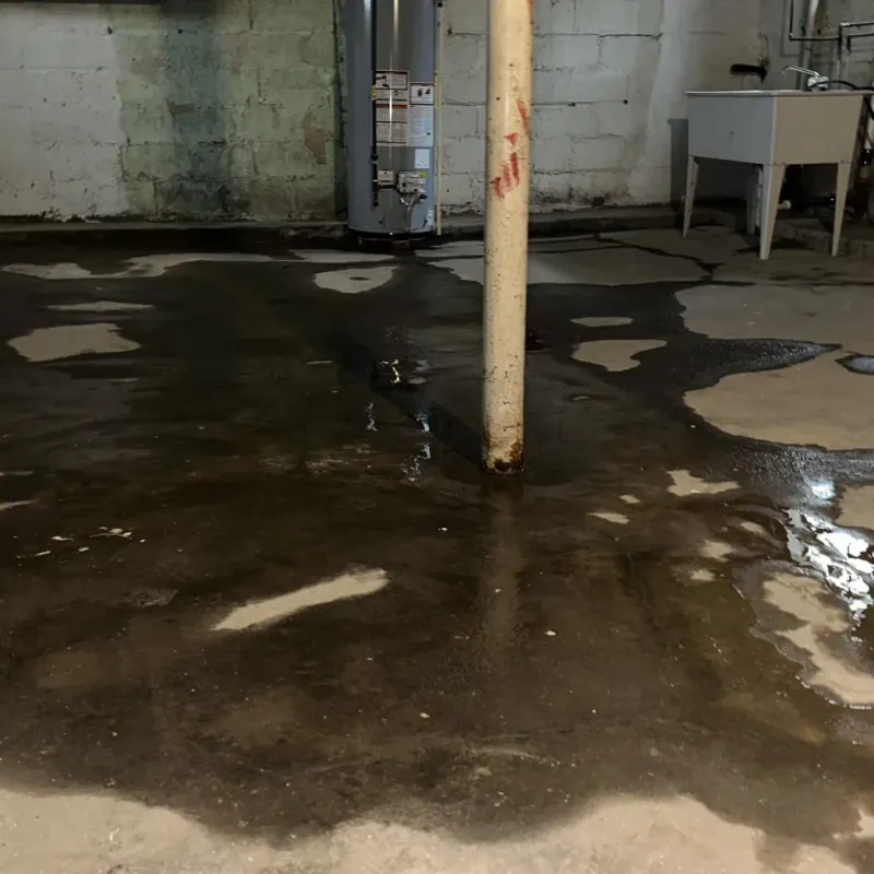 Emergency Water Extraction And Removal in Forest, OH